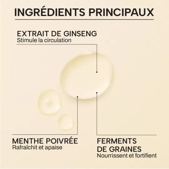 Whamisa - Tonique cuir chevelu aux graines bio fermentées anti-chute - 165 ML