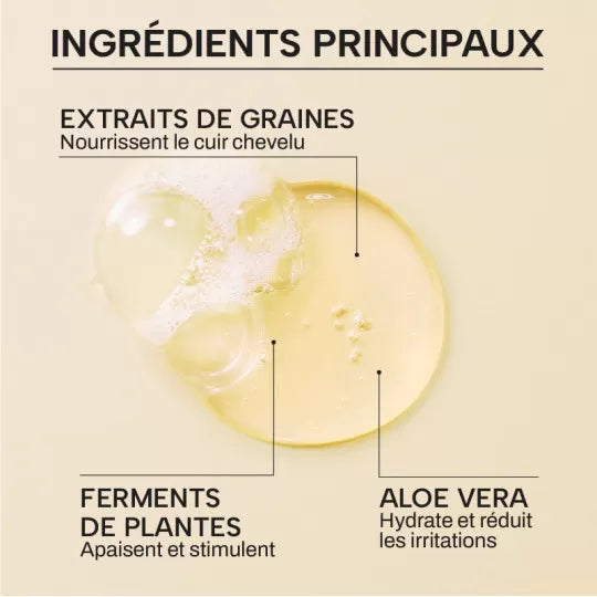 Whamisa - Shamppoing cheveux sec aux graines bio fermentées - 490 ML