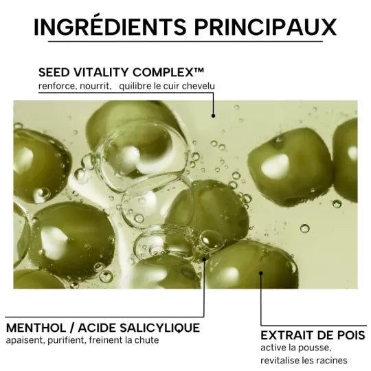 Whamisa - Shampoing cuir chevelu aux petits pois bio fermentés - 490 ml