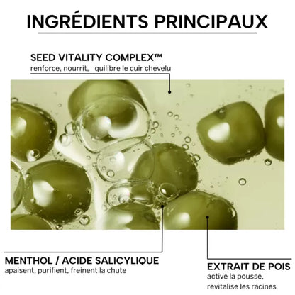 Whamisa - Shampoing cuir chevelu aux petits pois bio fermentés - 490 ml